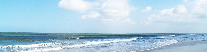 crop_104508616_kUOq4J3