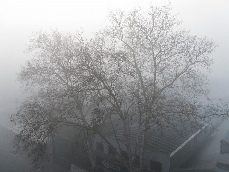 Туман в Монтевидео