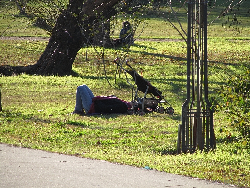 Залип на солнышке