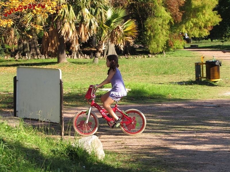 ya-budu-dolgo-gnat-velosiped