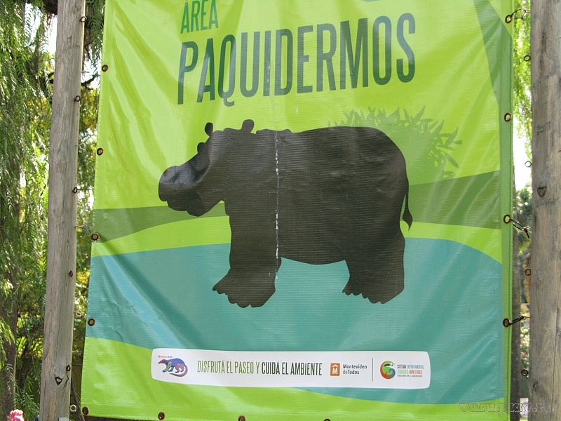 Paquidermos